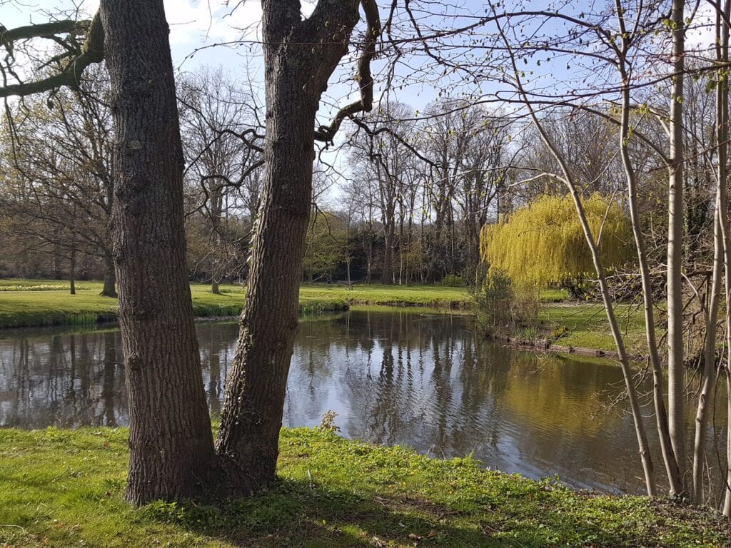 Meer van Brededrode, bron Brederode