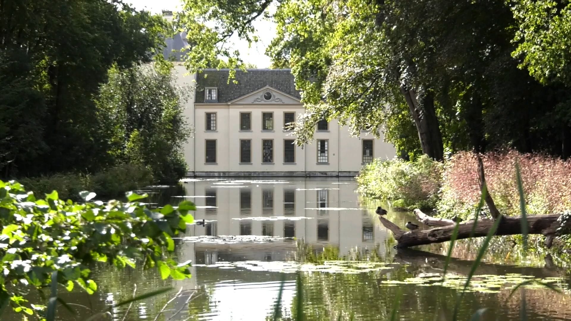 Zuid-Hollandse deelnemers in beeld!