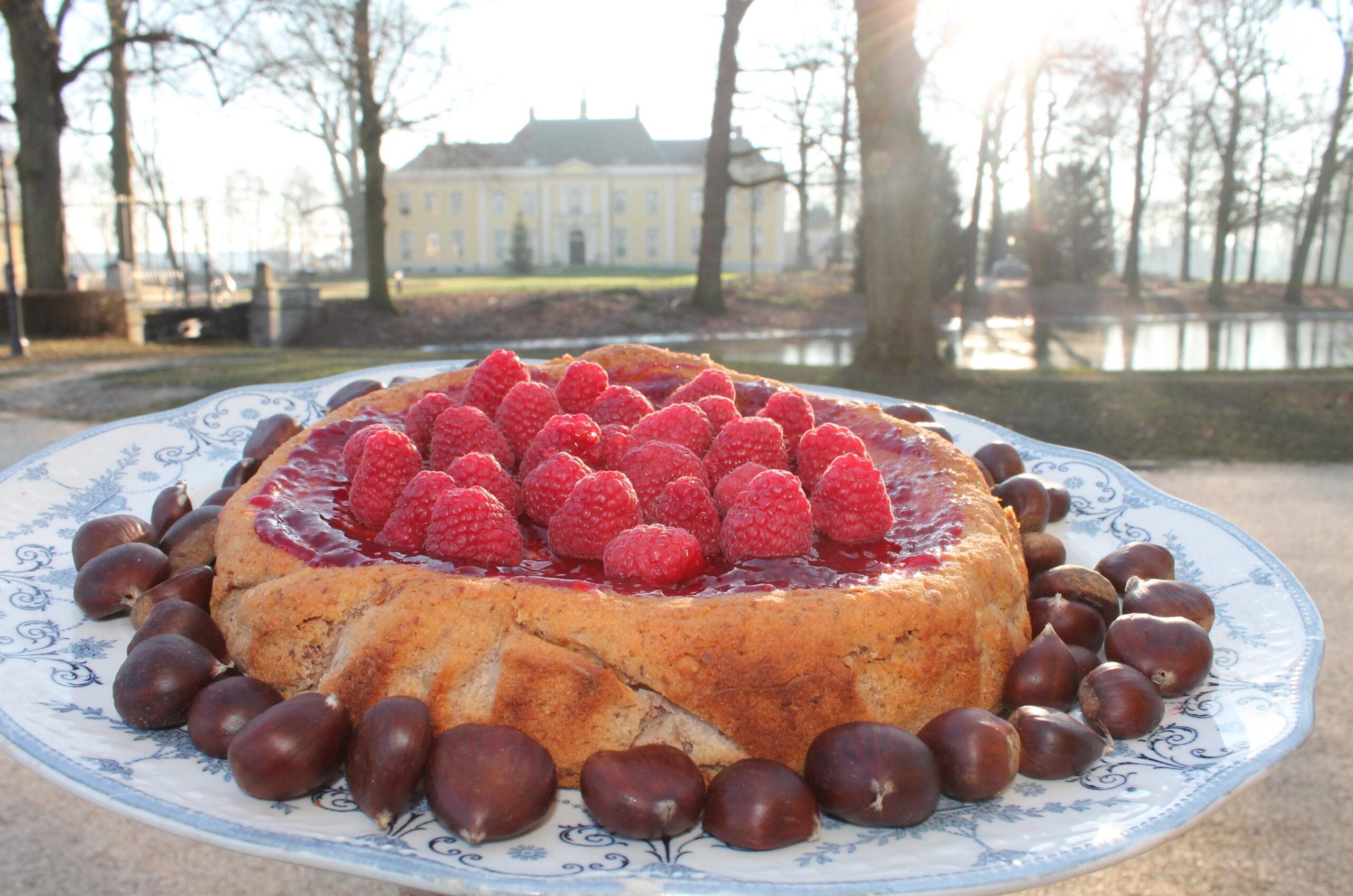 Tamme Kastanjetaart – Huis Landfort